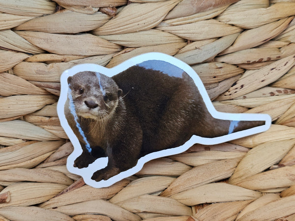 Cove Full Body Sticker