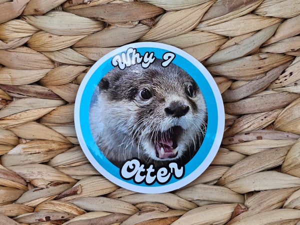 Why I Otter Sticker