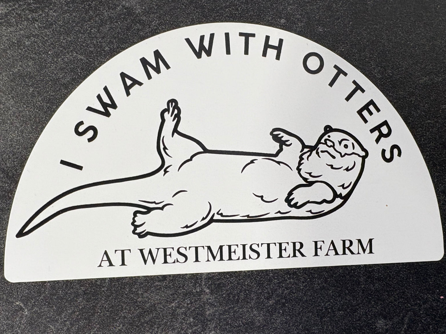 Swam With Otter Magnet