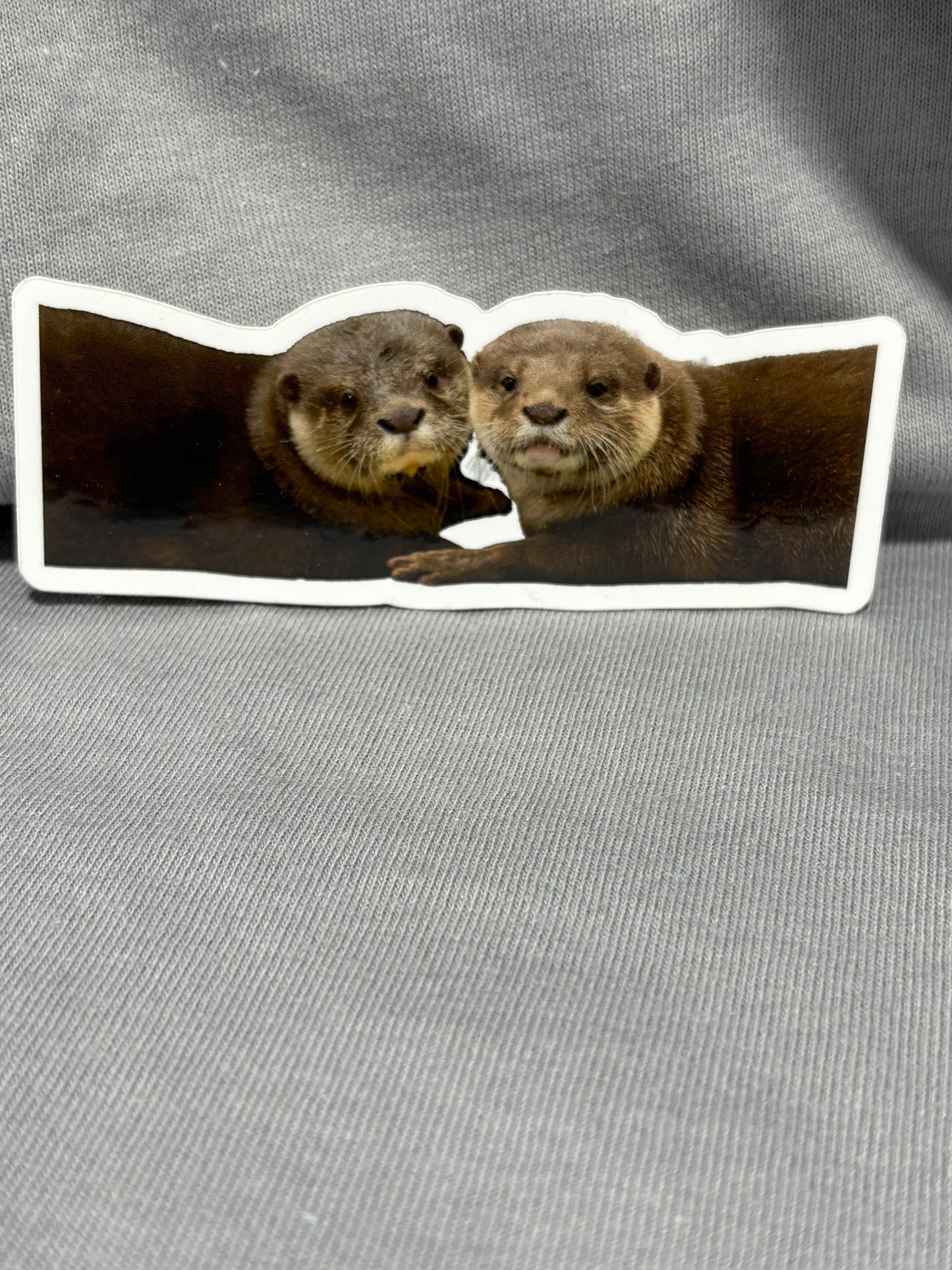 Two Otters Sticker