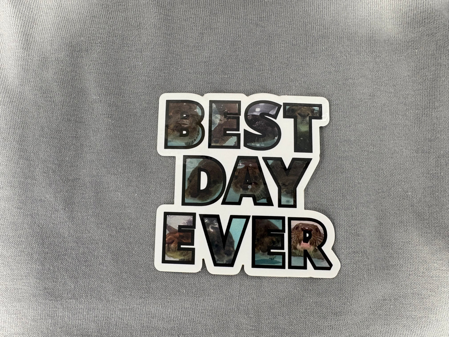 Best Day Ever Otter Sticker
