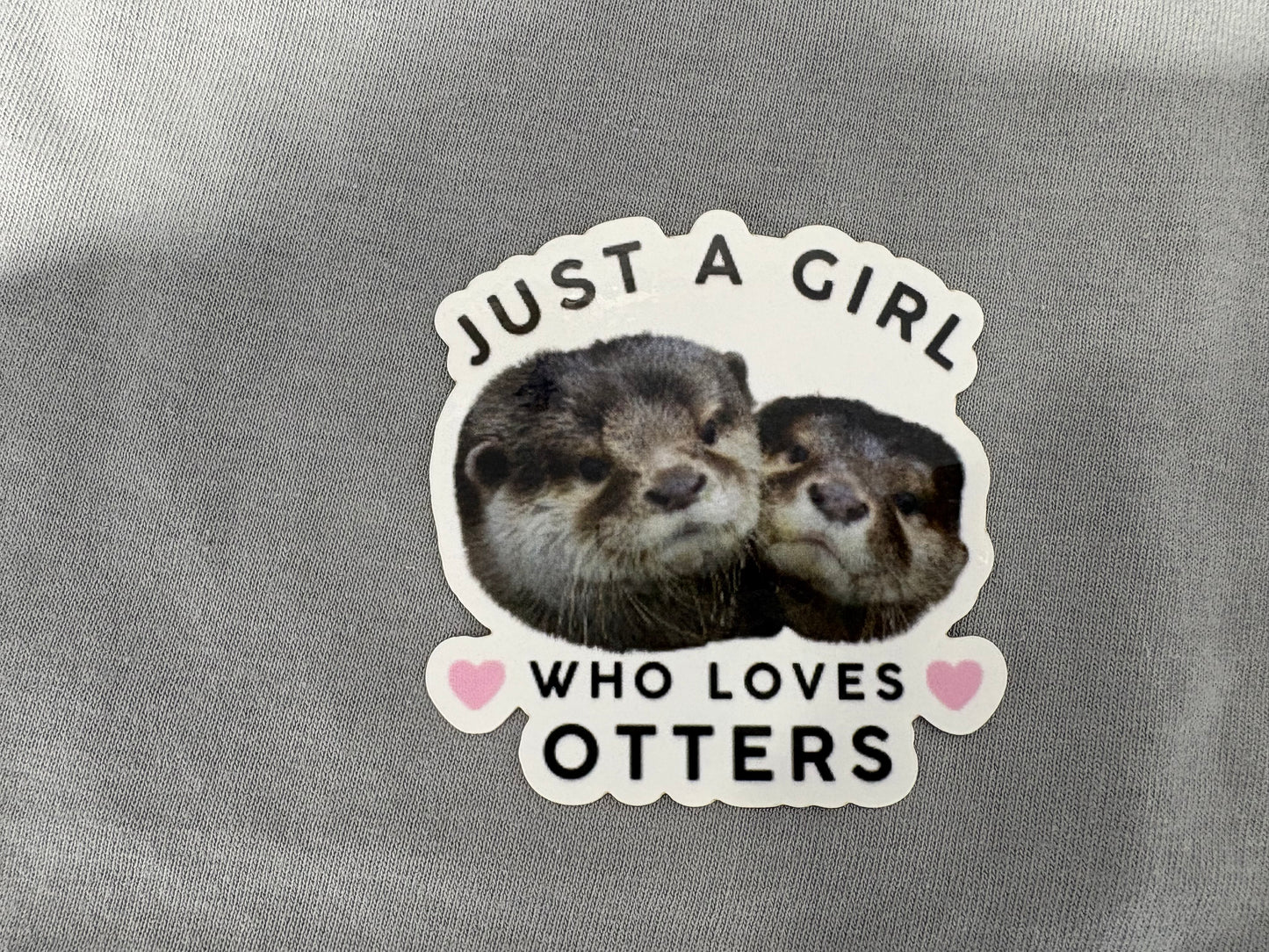 It's A Girl Who Loves Otters Sticker