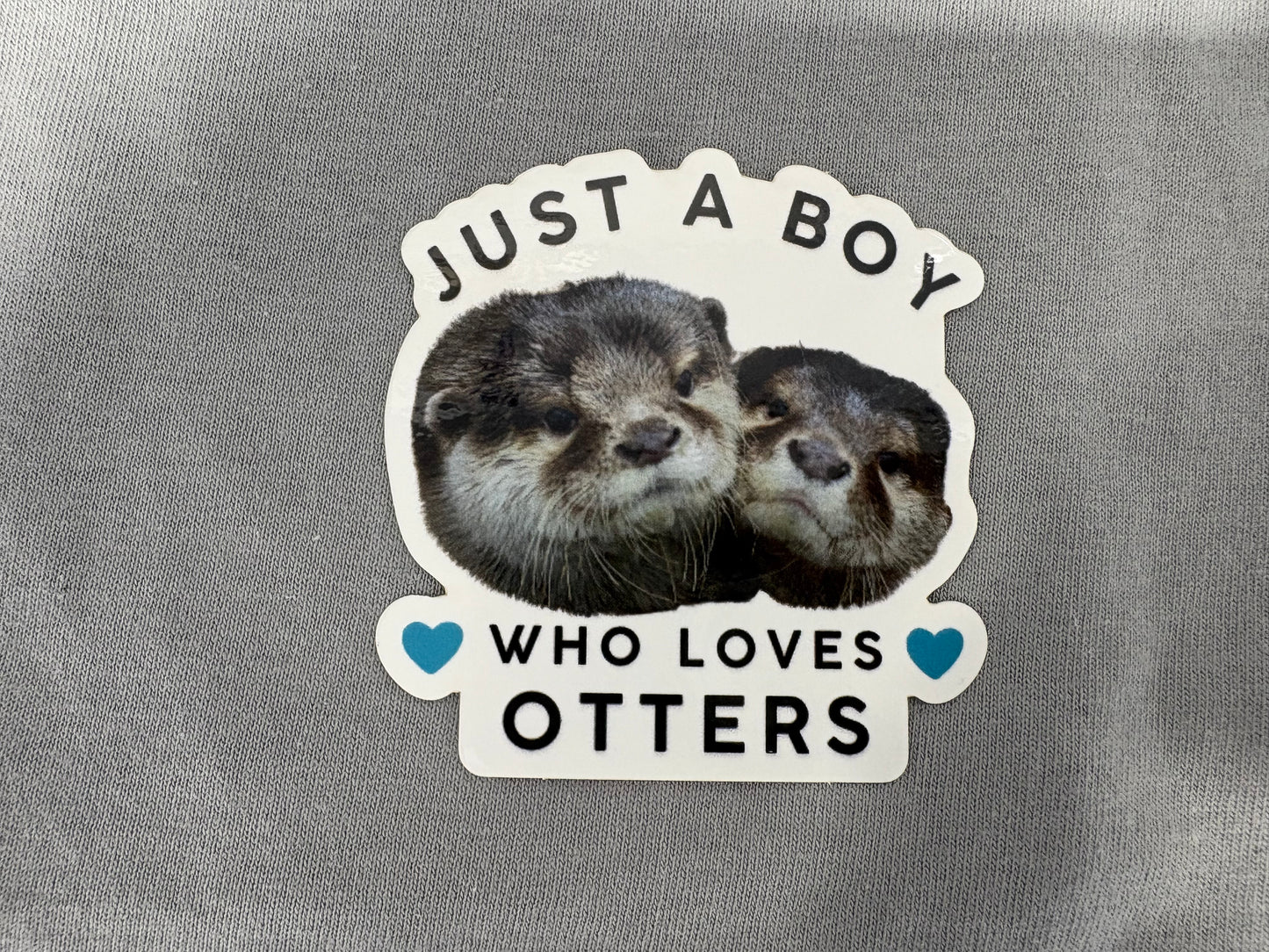 It's A Boy Who Loves Otters Sticker