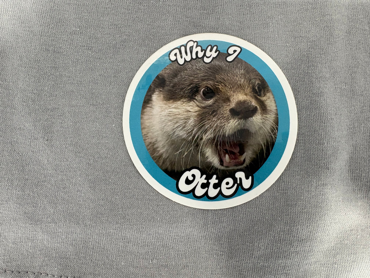 Why I Otter Sticker
