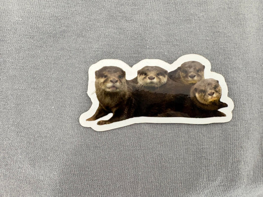 Four Otter Sticker